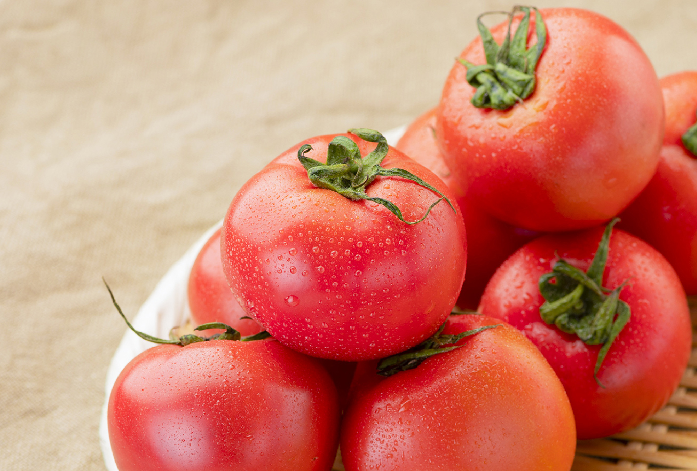 地元野菜を使った 旬のレシピ